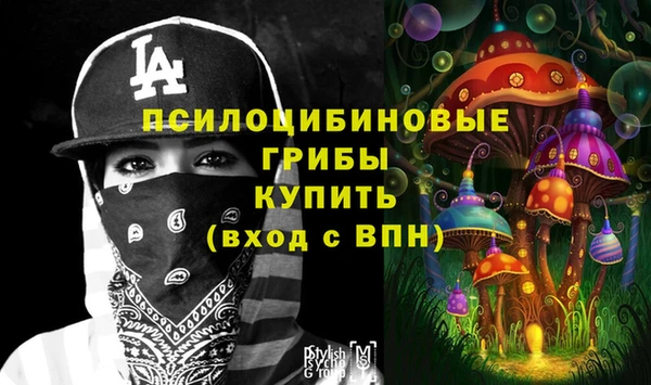 гашик Лиски